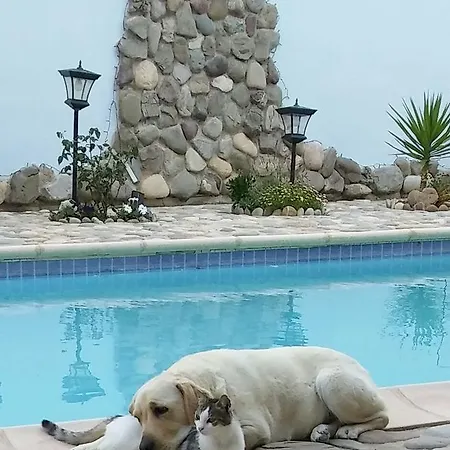 Catherine's Paphos