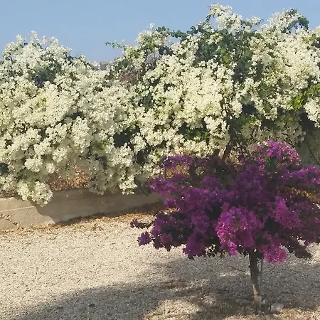 Catherine's Semesterbostad Paphos
