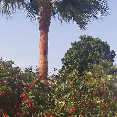 Catherine's Paphos