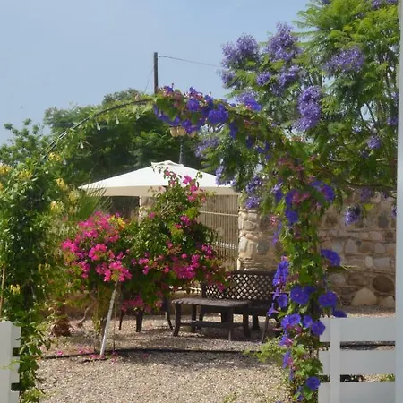 Catherine's Paphos